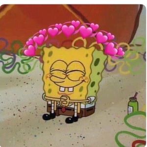 Meet your Posher, Ari